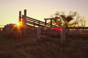 prepare_business_summer